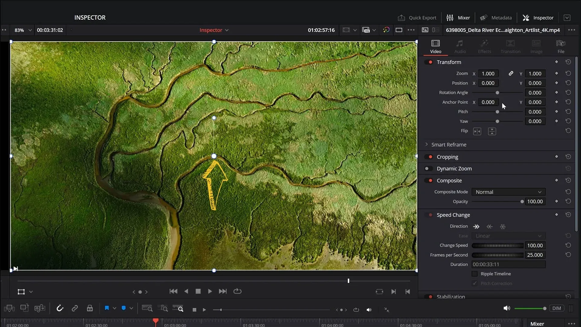 The Anchor Point highlighted by the arrow in the Viewer