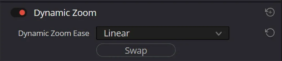 The Dynamic Zoom section, with Dynamic Zoom Ease set to Linear and a Swap button