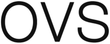 OVS logo
