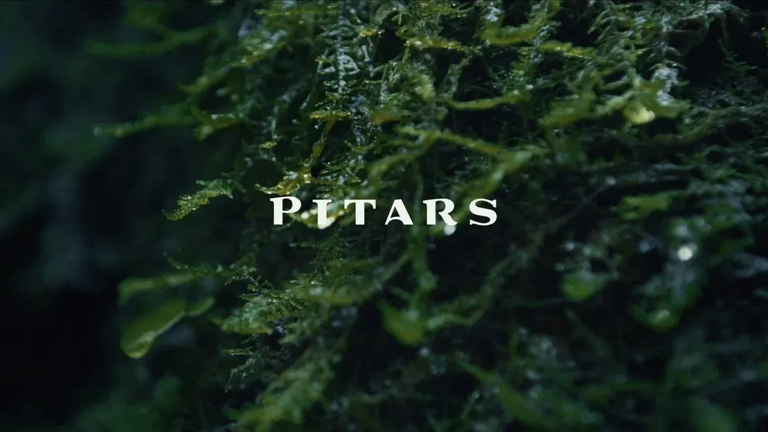 Pitars - Simply Extraordinary