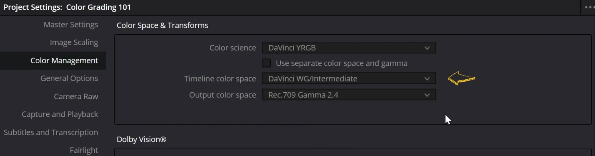DaVinci Resolve project settings, Color Management panel, with the color space dropdowns